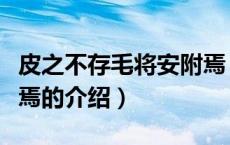 皮之不存毛将安附焉（关于皮之不存毛将安附焉的介绍）