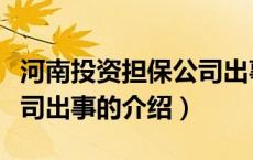 河南投资担保公司出事（关于河南投资担保公司出事的介绍）