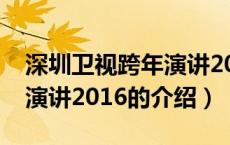 深圳卫视跨年演讲2016（关于深圳卫视跨年演讲2016的介绍）
