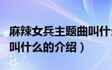 麻辣女兵主题曲叫什么（关于麻辣女兵主题曲叫什么的介绍）