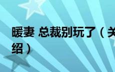 暖妻 总裁别玩了（关于暖妻 总裁别玩了的介绍）