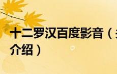 十二罗汉百度影音（关于十二罗汉百度影音的介绍）