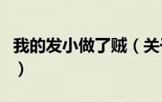 我的发小做了贼（关于我的发小做了贼的介绍）