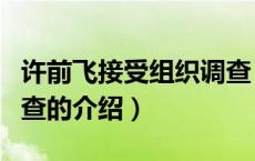 许前飞接受组织调查（关于许前飞接受组织调查的介绍）