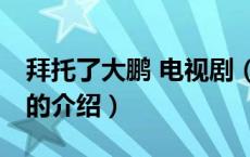拜托了大鹏 电视剧（关于拜托了大鹏 电视剧的介绍）