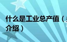 什么是工业总产值（关于什么是工业总产值的介绍）