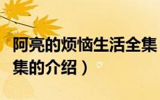 阿亮的烦恼生活全集（关于阿亮的烦恼生活全集的介绍）
