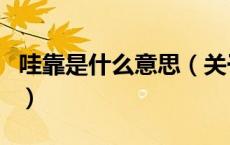 哇靠是什么意思（关于哇靠是什么意思的介绍）