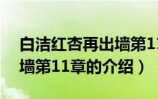 白洁红杏再出墙第11章（关于白洁红杏再出墙第11章的介绍）