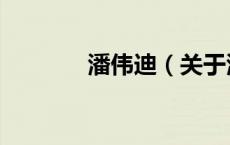 潘伟迪（关于潘伟迪的介绍）