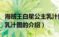 海贼王白星公主乳汁图（关于海贼王白星公主乳汁图的介绍）