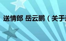 送情郎 岳云鹏（关于送情郎 岳云鹏的介绍）