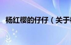 杨红樱的仔仔（关于杨红樱的仔仔的介绍）