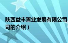 陕西益丰置业发展有限公司（关于陕西益丰置业发展有限公司的介绍）