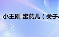 小王刚 蜜燕儿（关于小王刚 蜜燕儿的介绍）