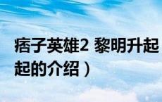 痞子英雄2 黎明升起（关于痞子英雄2 黎明升起的介绍）