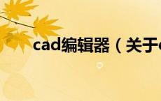 cad编辑器（关于cad编辑器的介绍）