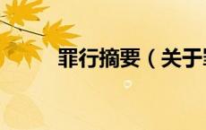 罪行摘要（关于罪行摘要的介绍）
