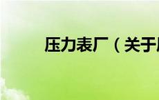 压力表厂（关于压力表厂的介绍）