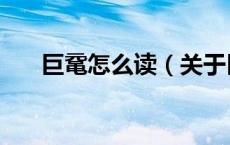 巨鼋怎么读（关于巨鼋怎么读的介绍）