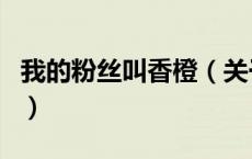 我的粉丝叫香橙（关于我的粉丝叫香橙的介绍）
