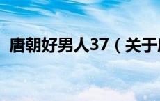 唐朝好男人37（关于唐朝好男人37的介绍）