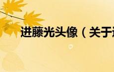 进藤光头像（关于进藤光头像的介绍）