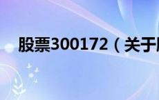 股票300172（关于股票300172的介绍）
