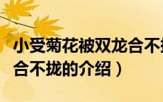 小受菊花被双龙合不拢（关于小受菊花被双龙合不拢的介绍）