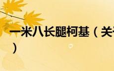 一米八长腿柯基（关于一米八长腿柯基的介绍）