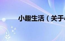 小趣生活（关于小趣生活的介绍）