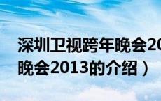 深圳卫视跨年晚会2013（关于深圳卫视跨年晚会2013的介绍）
