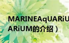 MARINEAqUARiUM（关于MARINEAqUARiUM的介绍）