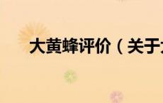 大黄蜂评价（关于大黄蜂评价的介绍）