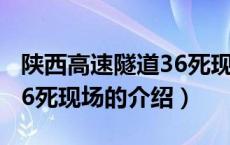 陕西高速隧道36死现场（关于陕西高速隧道36死现场的介绍）