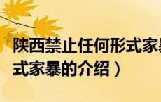 陕西禁止任何形式家暴（关于陕西禁止任何形式家暴的介绍）