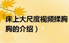床上大尺度视频揉胸（关于床上大尺度视频揉胸的介绍）