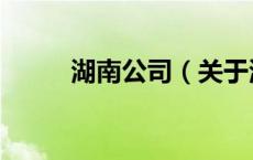 湖南公司（关于湖南公司的介绍）