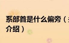 系部首是什么偏旁（关于系部首是什么偏旁的介绍）