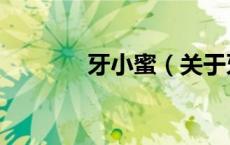 牙小蜜（关于牙小蜜的介绍）