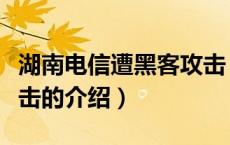 湖南电信遭黑客攻击（关于湖南电信遭黑客攻击的介绍）