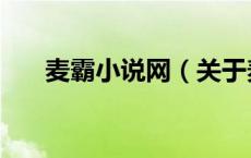 麦霸小说网（关于麦霸小说网的介绍）
