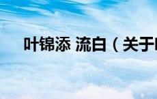 叶锦添 流白（关于叶锦添 流白的介绍）