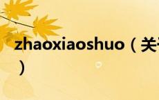 zhaoxiaoshuo（关于zhaoxiaoshuo的介绍）