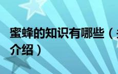 蜜蜂的知识有哪些（关于蜜蜂的知识有哪些的介绍）