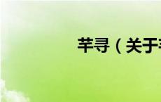 芊寻（关于芊寻的介绍）