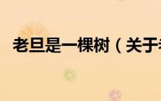 老旦是一棵树（关于老旦是一棵树的介绍）