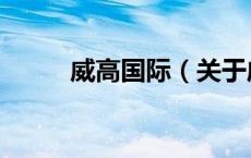 威高国际（关于威高国际的介绍）