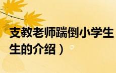 支教老师踹倒小学生（关于支教老师踹倒小学生的介绍）