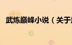武炼巅峰小说（关于武炼巅峰小说的介绍）